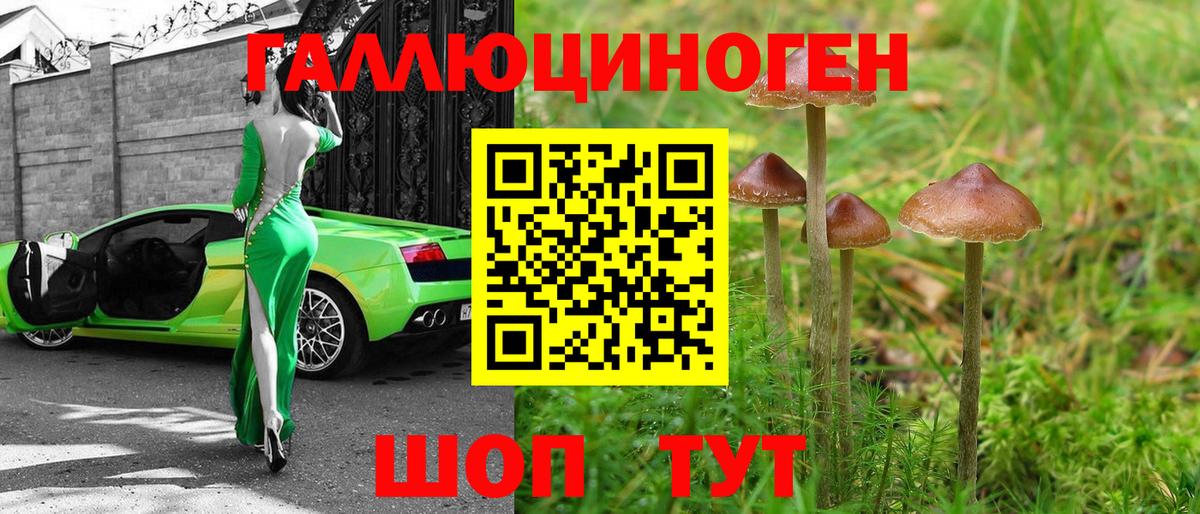 Галлюциногенные грибы ЛСД Ялта
